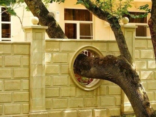 10 примеров того как нужно относиться к природе