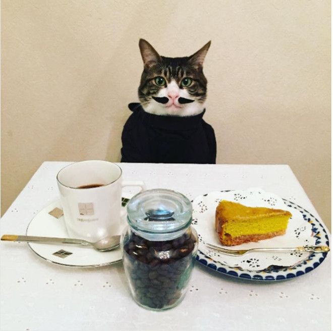 1 октября в Японии это День кофе Instagram rinne172