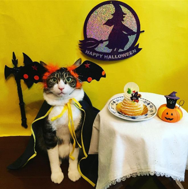 С Хеллоуином Instagram rinne172