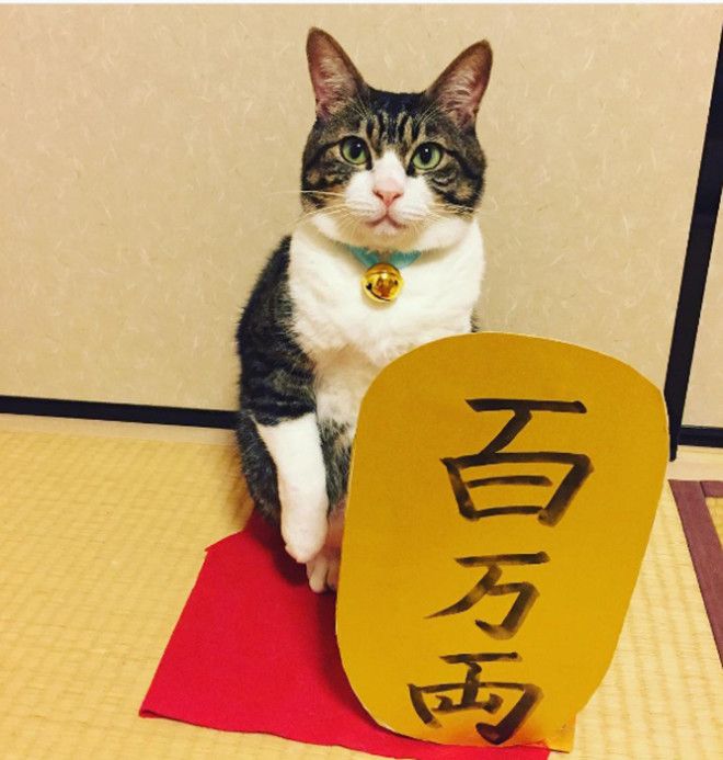29 сентября в Японии отмечают день Манящего кота Instagram rinne172