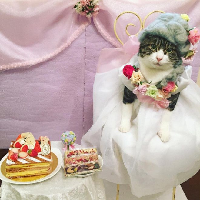 Мария Антуанетта Instagram rinne172