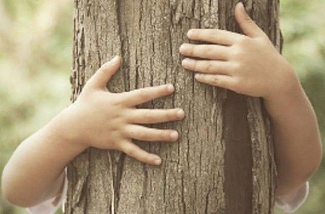 Я обниму тебя как дерево до смерти