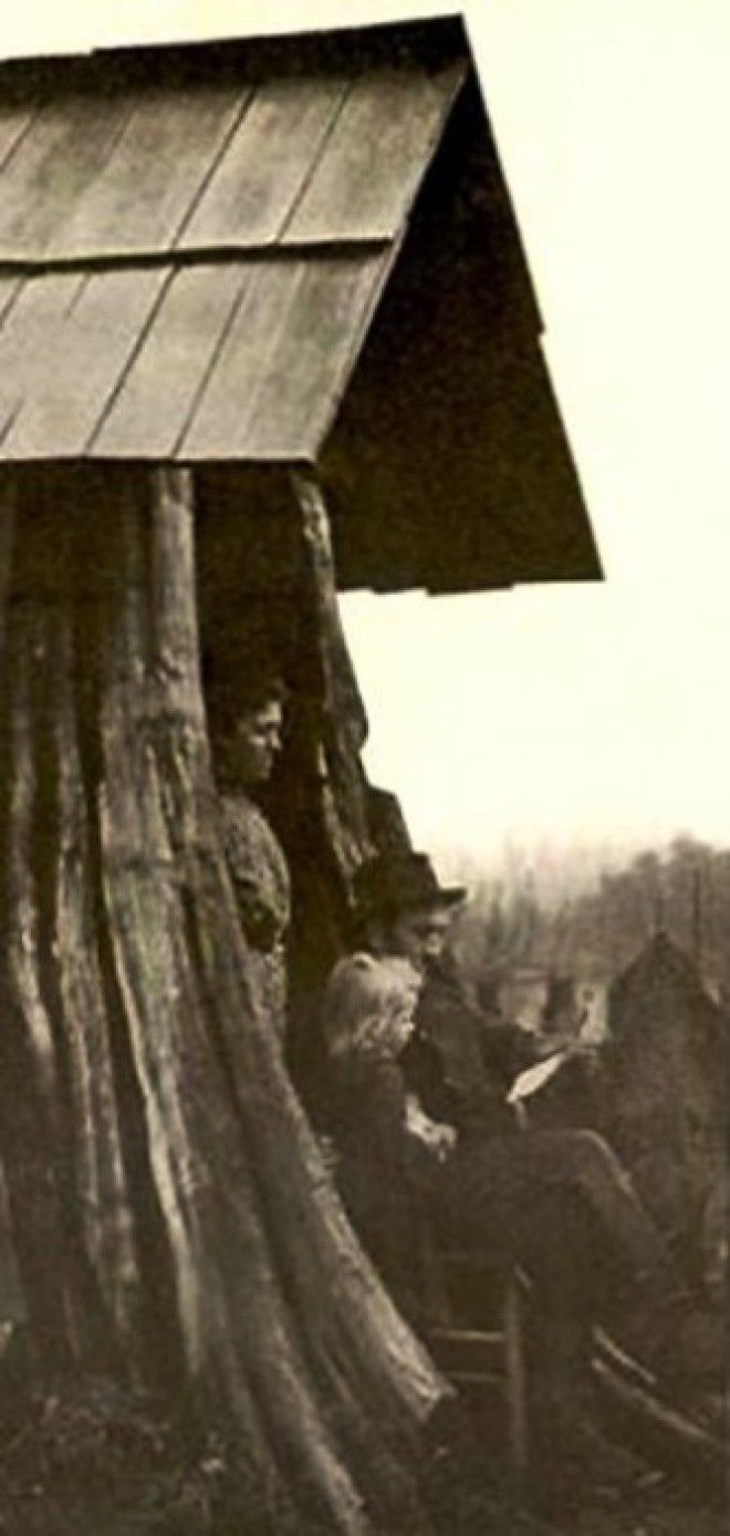 Семья Леннстром, живущая в пне. Эджком (Edgecomb), штат Вашингтон, 1901 год. | Фото: historylink.org. Семья Леннстром живущая в пне Эджком Edgecomb штат Вашингтон 1901 год Фото historylinkorg