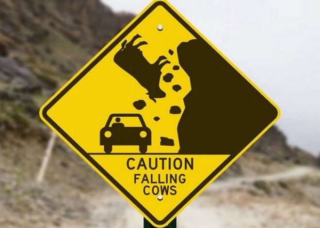 Курьёзный знак: «Падающие коровы». Курьёзный знак Падающие коровы