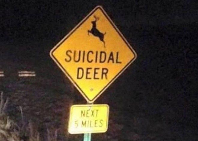 Курьёзный знак: «Олени-самоубийцы». Курьёзный знак Оленисамоубийцы