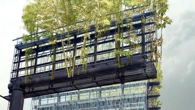 Бамбуковая роща на билборде