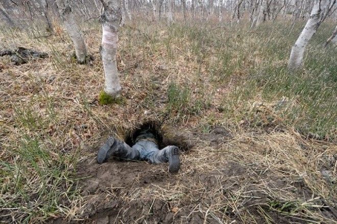 В гостях у медведя как выглядит настоящая берлога изнутри