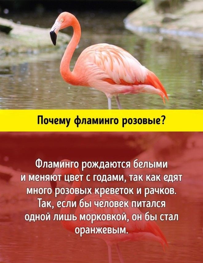 10 грандиозных научных ответов на самые простые детские вопросы