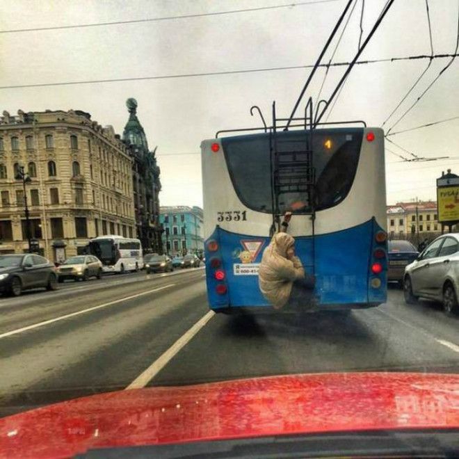 Сел на хвост