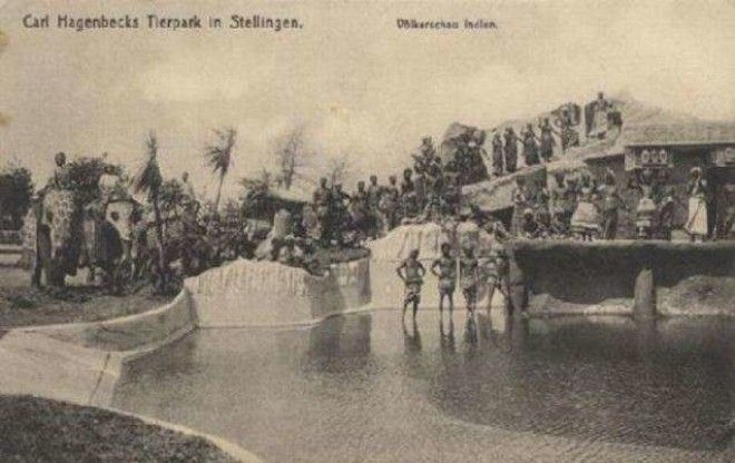 Забытые истории человеческих зоопарков