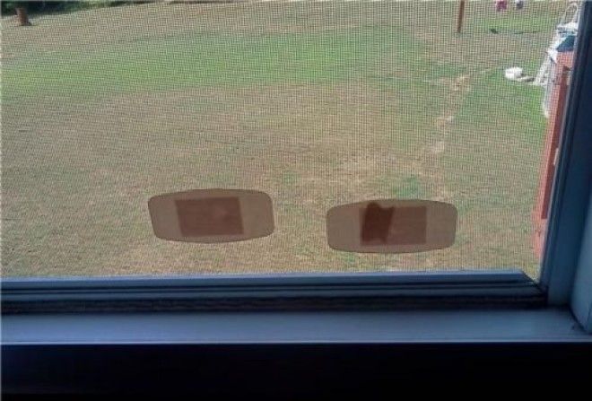 Все проблемы решаемы