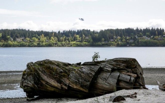 Твин Пикс в реальной жизни 12 фото настоящих мест из легендарного сериала