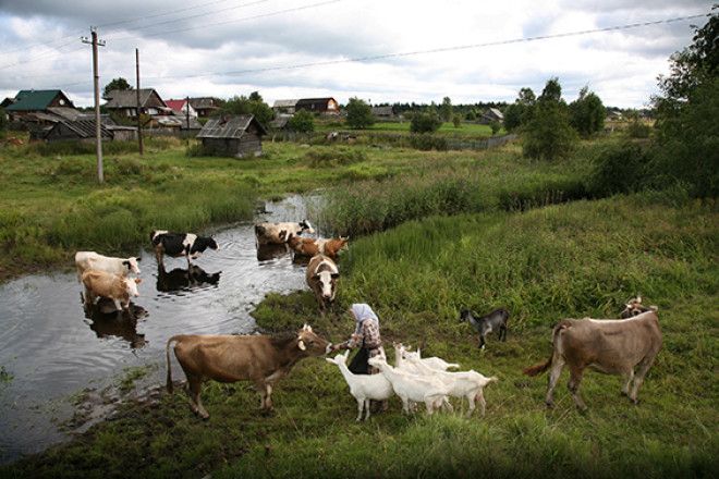 15 фактов о том как изменится Земля если человечество вымрет