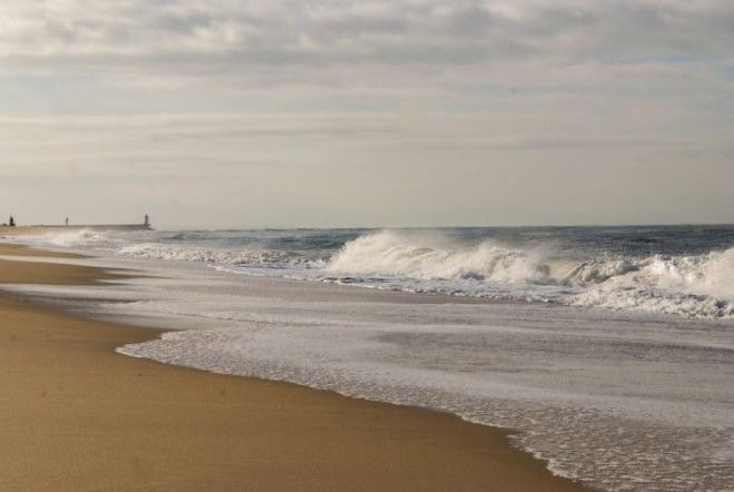 42 убедительные причины никогда не посещать Францию