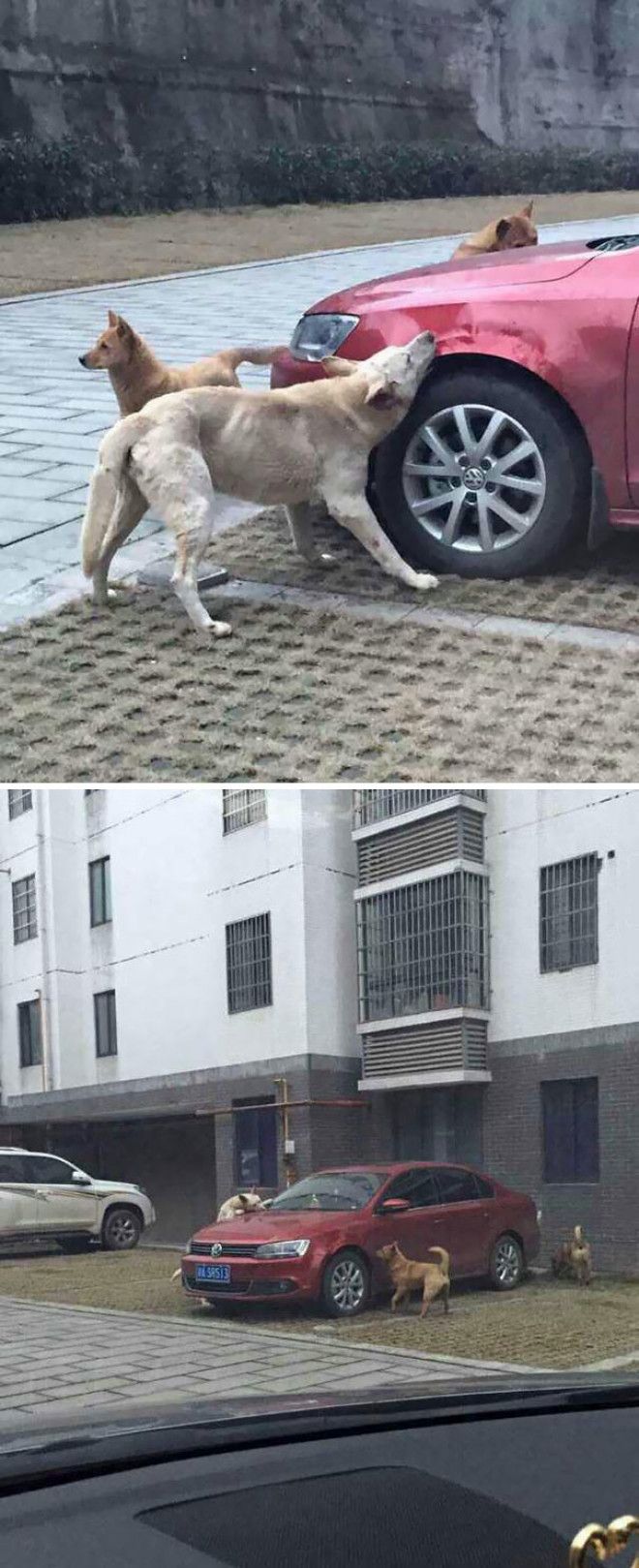 Закон бумеранга в действии
