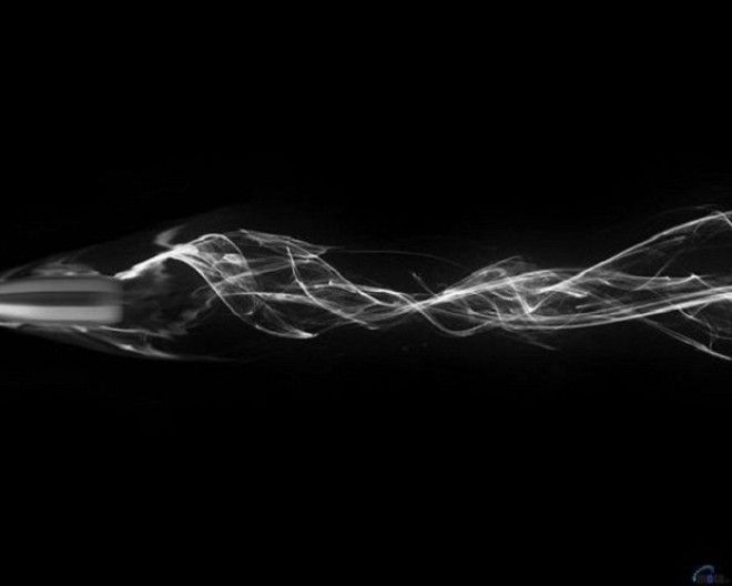 15 ответов на гипотетические вопросы