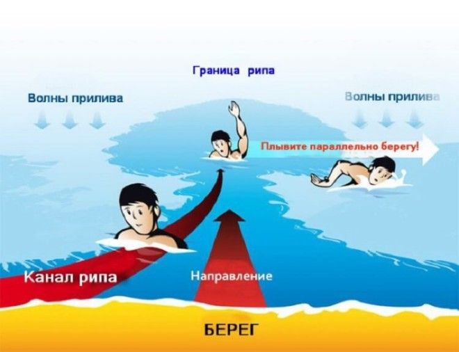 Люди отдыхают на пляже и даже не подозревают какая может быть опасность