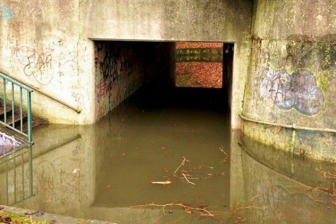 15 фактов о том как изменится Земля если человечество вымрет