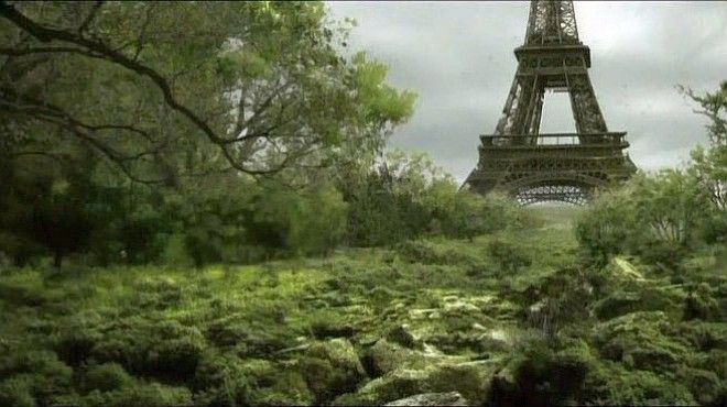 15 фактов о том как изменится Земля если человечество вымрет