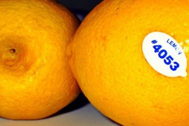 12 предметов которые никогда не следует смывать в раковину или унитаз 