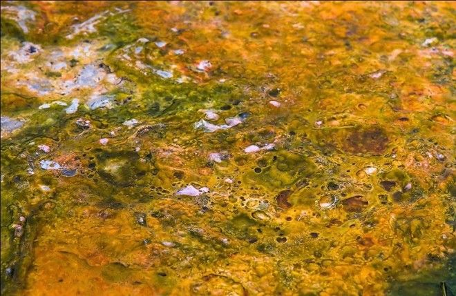 Сероводородный ад на Итурупе