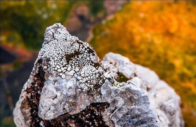 Сероводородный ад на Итурупе