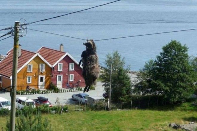 Как Лишь этот вопрос возникает в голове глядя на эти фото