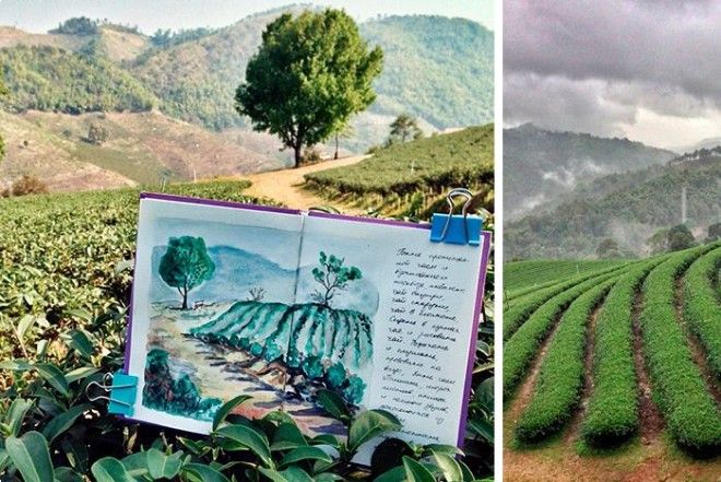 125836529513402082358631051925111n