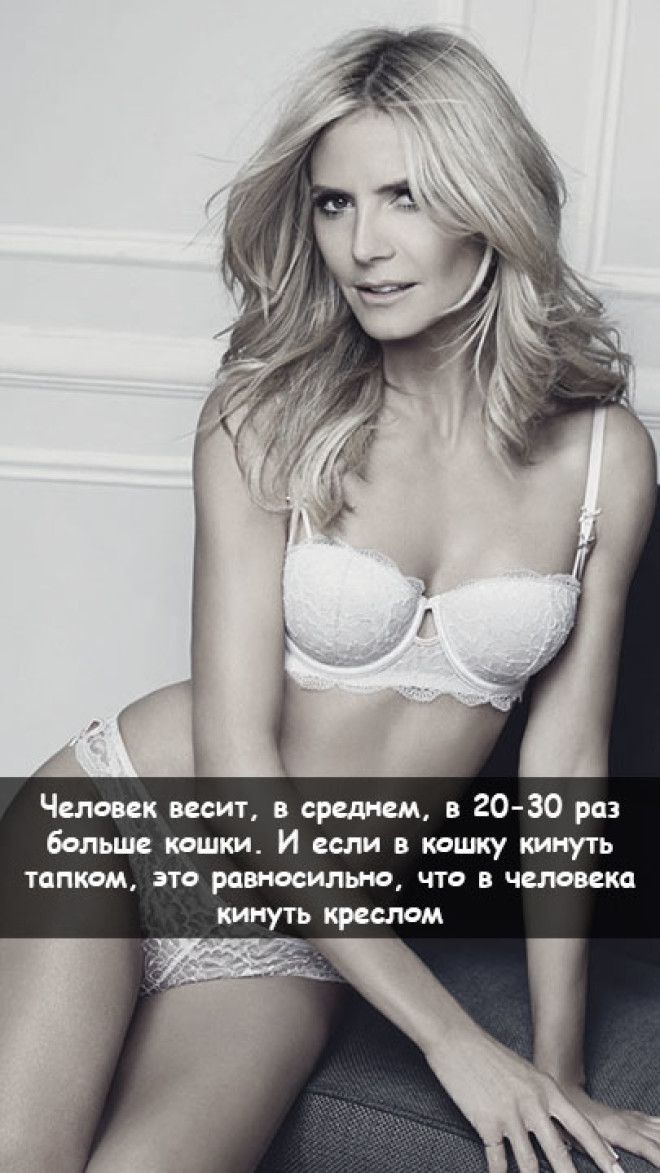 Некоторые факты лучше подавать с горячими моделями