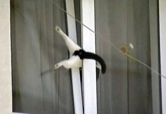 Как Лишь этот вопрос возникает в голове глядя на эти фото