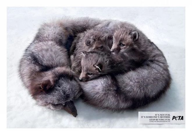 15 мощных постеров о которых вы будете думать весь оставшийся день