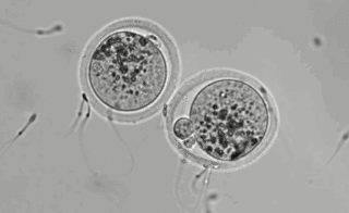 Сколько времени за всю жизнь мы тратим на ежедневные дела