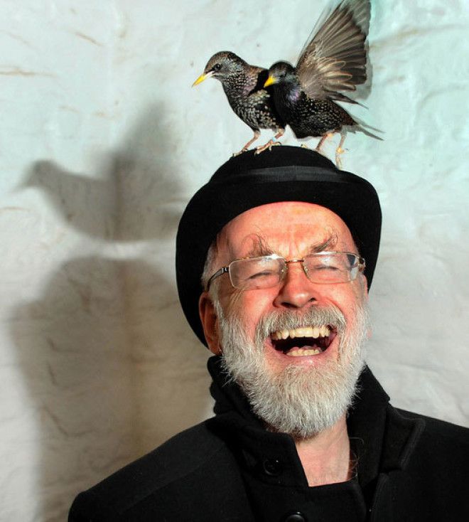 Похожее изображение