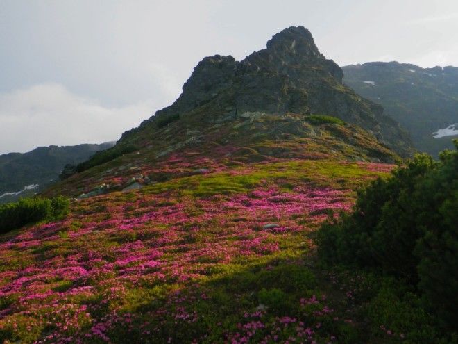 Скалы Румыния
