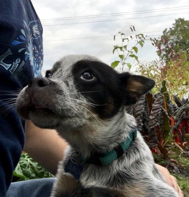 subbuzz721614808734985