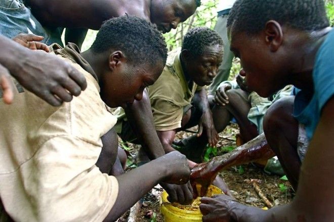 tribes16 Потрясающие навыки и умения племенных народов мира