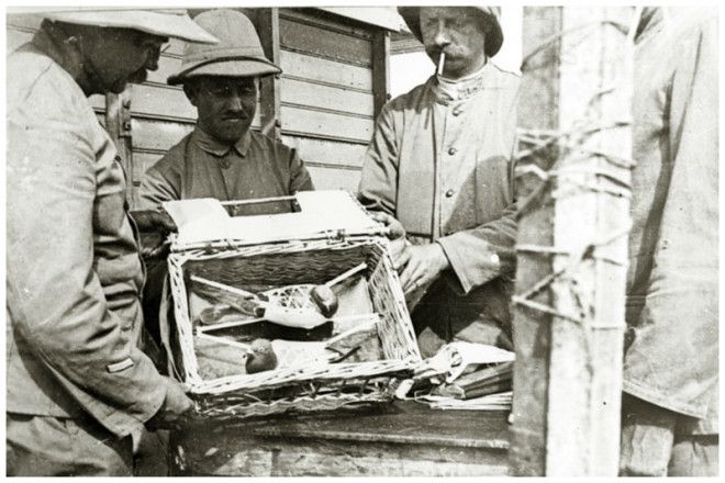 Загадка века Как почтовые голуби находят дорогу