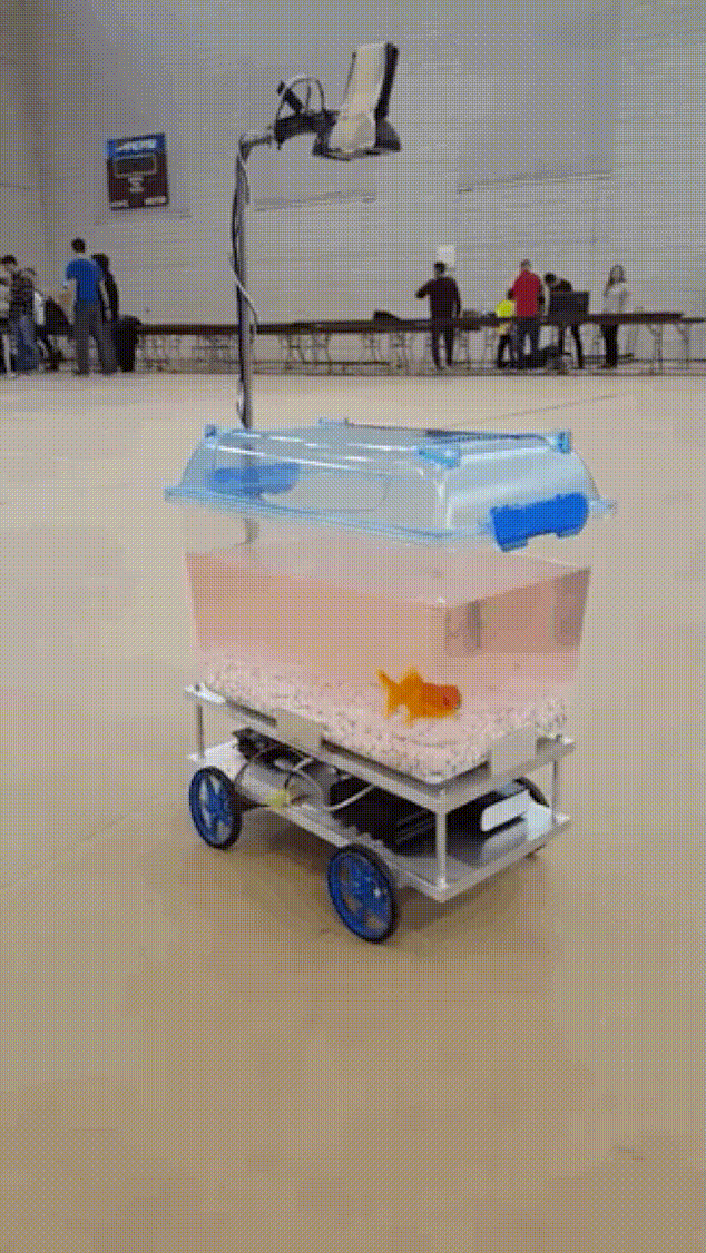 19 жизненных ГИФов которые взбодрят ваш мозг