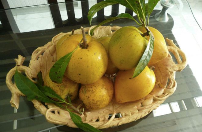 Удивительные суперпродукты будущего которые можно попробовать прямо сейчас