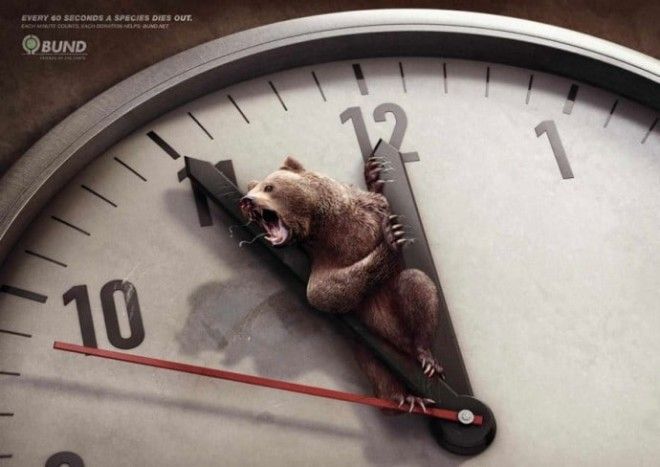 17 необычных баннеров о защите животных которые пробирают до дрожи