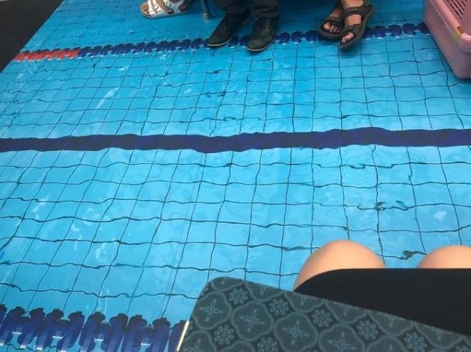 Бассейн в вагоне метро 10 самых живых фото о внезапных превращениях пола