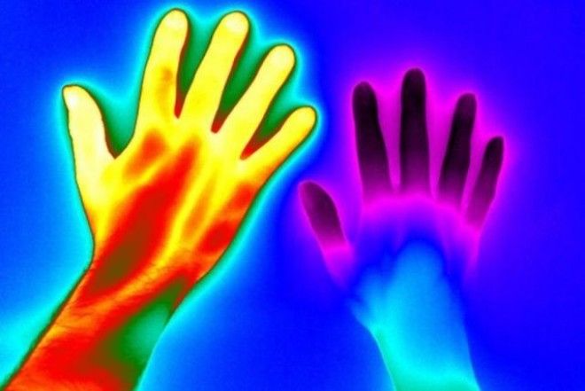 18 удивительных фото из мира науки