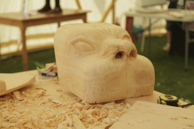 Мордочка льва Фото fbcdnsphotoshaakamaihdnet