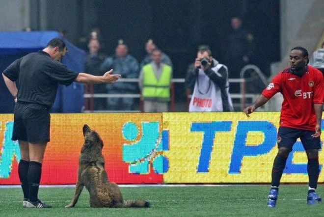 Спорт и юмор жгучая смесь Фото которые заставят тебя смеяться до упаду