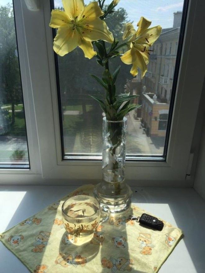 Белый чай удивительно красив