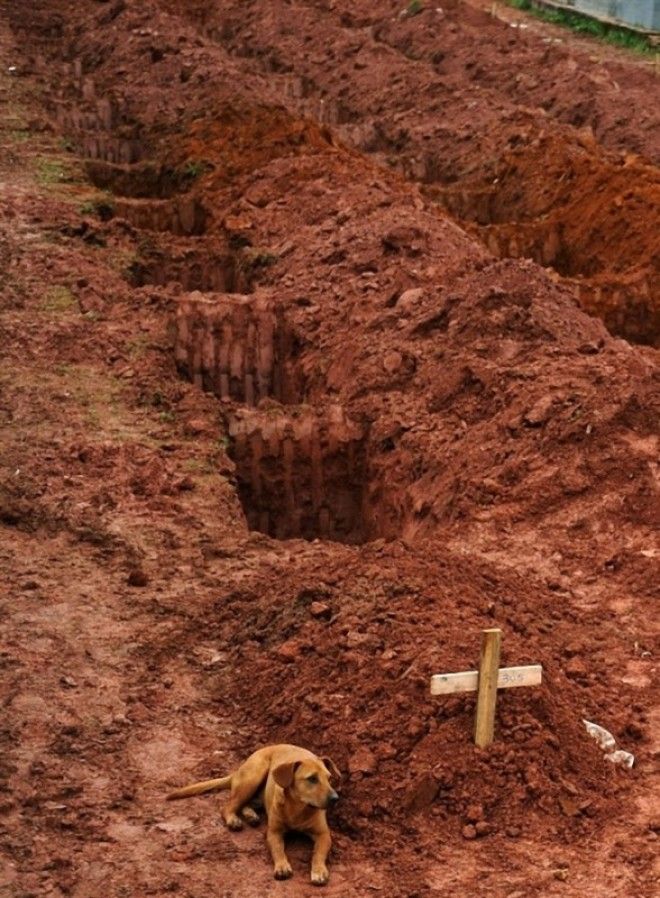 40 самых сильных фотографий века
