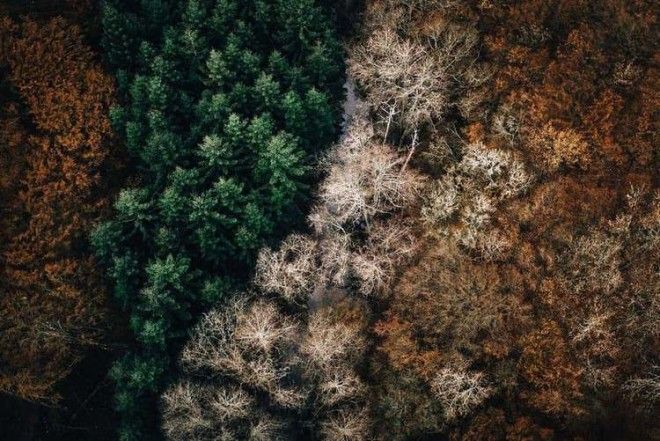 15 крутых кадров от вида которых вы на время забудете где находитесь