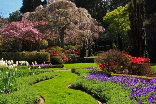 Невероятны сады филоли которые не оставят вас равнодушными