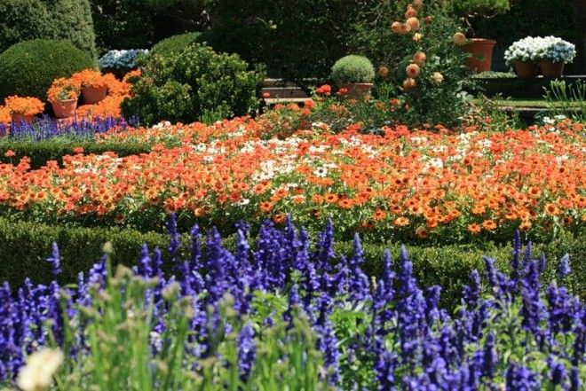 Невероятны сады филоли которые не оставят вас равнодушными