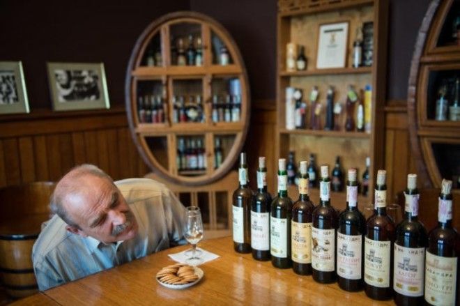 In vino veritas 5 правил дегустации вина